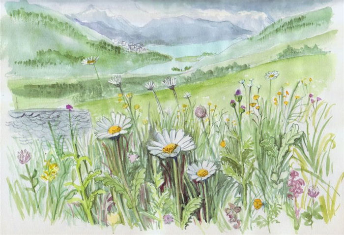 flowers